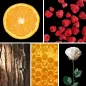 Preview: Duftnoten: Mandarine, Himbeere; Sandelholz, Honig, Rose Preview: Duftnoten: Mandarine, Himbeere; Sandelholz, Honig, Rose
